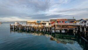 Leia mais sobre o artigo Monterey – Califórnia